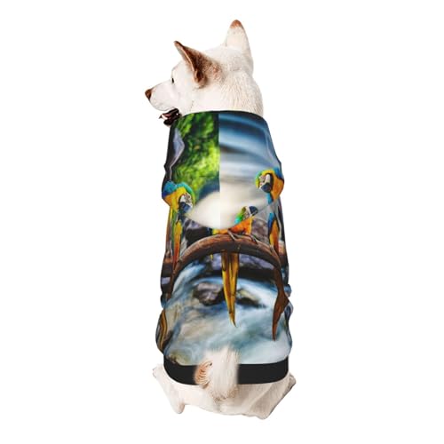 Froon Niedliche Papageien-Haustierbekleidung – Kapuzen-Sweatshirt für kleine Haustiere, bezaubernde und warme Haustierkleidung, für Ihr Haustier von FROON
