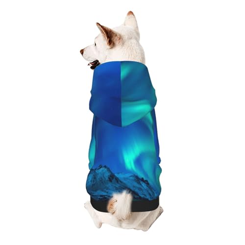 Froon Northern Lights Haustierbekleidung – Kapuzen-Sweatshirt für kleine Haustiere, bezaubernde und warme Haustierkleidung, für Ihr Haustier von FROON