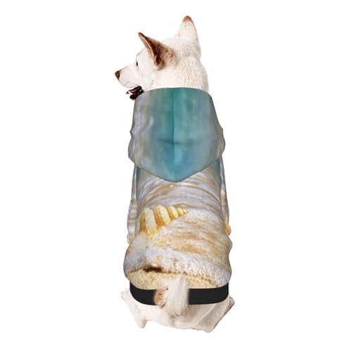 Froon Ocean Seashell Haustierbekleidung – Kapuzen-Sweatshirt für kleine Haustiere, bezaubernde und warme Haustierkleidung, für Ihr Haustier von FROON