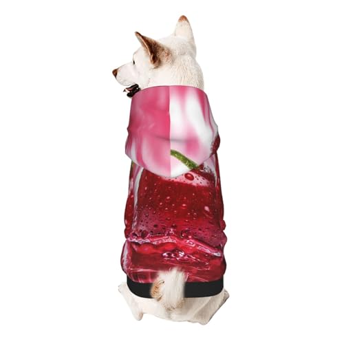 Froon Red Cherries Haustierbekleidung – Kapuzen-Sweatshirt für kleine Haustiere, bezaubernde und warme Haustierkleidung, für Ihr Haustier von FROON