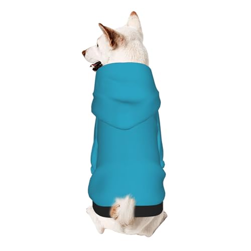 Froon Sea Cyan Haustierbekleidung – Kapuzen-Sweatshirt für kleine Haustiere, bezaubernde und warme Haustierkleidung, für Ihr Haustier von FROON