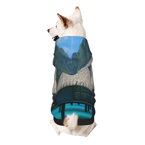 Froon Tahiti Beach Haustierbekleidung – Kapuzen-Sweatshirt für kleine Haustiere, bezaubernde und warme Haustierkleidung, für Ihr Haustier von FROON