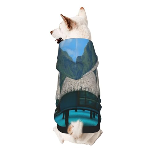 Froon Tahiti Beach Haustierbekleidung – Kapuzen-Sweatshirt für kleine Haustiere, bezaubernde und warme Haustierkleidung, für Ihr Haustier Froon Tahiti Beach Haustierbekleidung – Kapuzen-Sweatshirt für kleine Haustiere, bezaubernde und warme Haustierkleidung, für Ihr Haustier von FROON