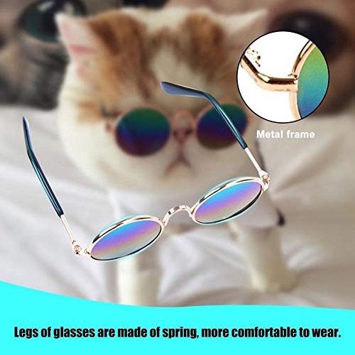 FROVOL Sonnenbrille, cooles Zubehör, mehrfarbig, Schutzbrille, kleine Fotos, Requisiten, Produkte, Haustiere, Hundeauge von FROVOL