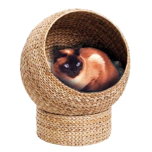 FSJMTQTS Haustierbett aus Korbgeflecht Katzenbett Hängematte Gewebtes Nest Käfig Villa Sommer Gewebtes Haustierhaus Sommer FSJMTQTS Haustierbett aus Korbgeflecht Katzenbett Hängematte Gewebtes Nest Käfig Villa Sommer Gewebtes Haustierhaus Sommer von FSJMTQTS