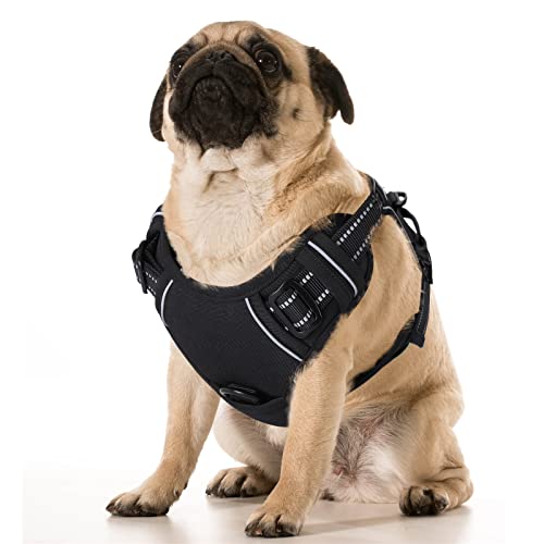 FSROOMZ Hundegeschirr Anti Zieh für Kleine und mittelgroße Hunde, Anti Zug Welpen Sicherheitsgeschir No Pull Dog Harness, Weich, Gepolstert, verstellbar, Atmungsaktiv, Reflexstreifen Brustgeschirr (L) FSROOMZ Hundegeschirr Anti Zieh für Kleine und mittelgroße Hunde, Anti Zug Welpen Sicherheitsgeschir No Pull Dog Harness, Weich, Gepolstert, verstellbar, Atmungsaktiv, Reflexstreifen Brustgeschirr (L) von FSROOMZ