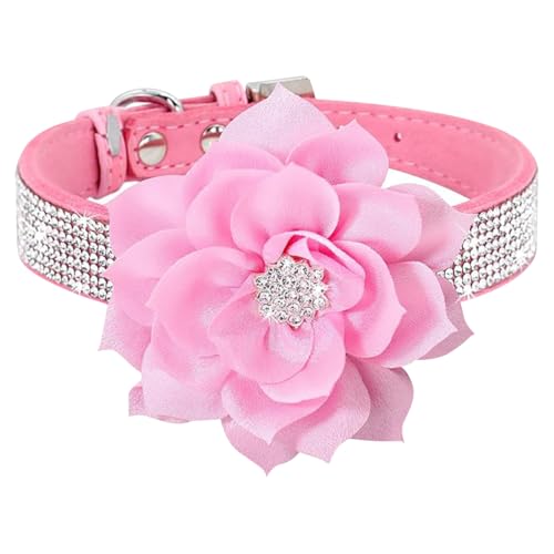Bling Strass Hundehalsband, große Blume, Welpenhalsband, Wildleder, kleine Hunde, Halsband für weibliche Hunde, verstellbar, Katze, Kristall, glitzerndes Haustierhalsband für Hochzeit, Party, S Bling Strass Hundehalsband, große Blume, Welpenhalsband, Wildleder, kleine Hunde, Halsband für weibliche Hunde, verstellbar, Katze, Kristall, glitzerndes Haustierhalsband für Hochzeit, Party, S von FSSTUD
