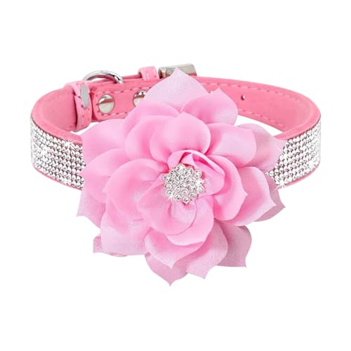 Bling Strass Hundehalsband, große Blume, Welpenhalsband, Wildleder, kleine Hunde, Halsband für weibliche Hunde, verstellbar, Katze, Kristall, glitzerndes Haustierhalsband für Hochzeit, Party, XS Bling Strass Hundehalsband, große Blume, Welpenhalsband, Wildleder, kleine Hunde, Halsband für weibliche Hunde, verstellbar, Katze, Kristall, glitzerndes Haustierhalsband für Hochzeit, Party, XS von FSSTUD
