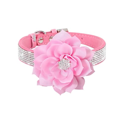 Bling Strass Hundehalsband, große Blume, Welpenhalsband, Wildleder, kleine Hunde, Halsband für weibliche Hunde, verstellbar, Katze, Kristall, glitzerndes Haustierhalsband für Hochzeit, Party, XXS Bling Strass Hundehalsband, große Blume, Welpenhalsband, Wildleder, kleine Hunde, Halsband für weibliche Hunde, verstellbar, Katze, Kristall, glitzerndes Haustierhalsband für Hochzeit, Party, XXS von FSSTUD