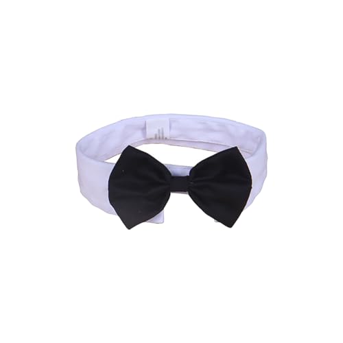 FSSTUD Schwarze Fliege Hundehalsband Smoking Katze Welpen Krawatte Verstellbare formelle Haustier Fliege Halsband Kleintier Weiß Halsband für Hochzeit Geburtstag L FSSTUD Schwarze Fliege Hundehalsband Smoking Katze Welpen Krawatte Verstellbare formelle Haustier Fliege Halsband Kleintier Weiß Halsband für Hochzeit Geburtstag L von FSSTUD