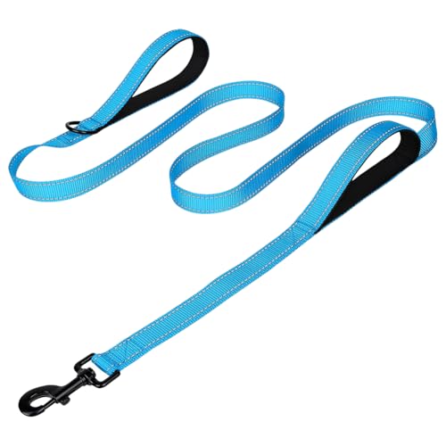 Hundeleine mit reflektierenden Nähten, doppelt gepolsterter Griff, 120 cm, für Nachtspaziergänge, Sicherheit, Haustierleine, Verkehrskontrolle, Haustier-Leine für Lauftraining, Blau Hundeleine mit reflektierenden Nähten, doppelt gepolsterter Griff, 120 cm, für Nachtspaziergänge, Sicherheit, Haustierleine, Verkehrskontrolle, Haustier-Leine für Lauftraining, Blau von FSSTUD