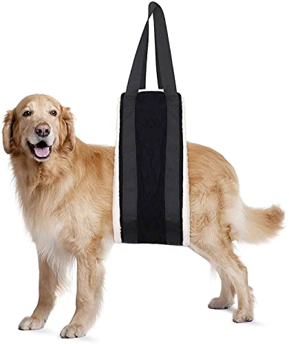 Tragbares Hundegeschirr, 17.8x129.5 cm, weiches Futter, Transfer-Schlinge für ältere Hunde, Hinterbeine, passend für Senioren, verletzte Hunde 13.6–54.4 kg Tragbares Hundegeschirr, 17.8x129.5 cm, weiches Futter, Transfer-Schlinge für ältere Hunde, Hinterbeine, passend für Senioren, verletzte Hunde 13.6–54.4 kg von FSUHHIAD