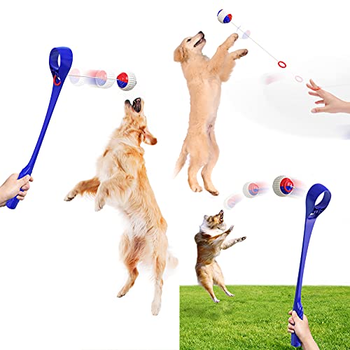 FTRONGRT Hundespielzeug, Einziehbarer Ringseilball, Ballwerfer, Multifunktions-Wurfstock, Interaktives Haustierspielzeug,Molarenkugel.Blau von FTRONGRT
