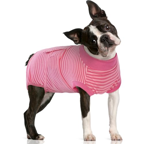 FUAMEY Genesungsanzug für Hunde nach Operationen, weicher, atmungsaktiver Hunde-Body mit E-Halsband und Kegel, alternativer chirurgischer Anzug, für männliche und weibliche Hunde, gegen Lecken, Größe von FUAMEY