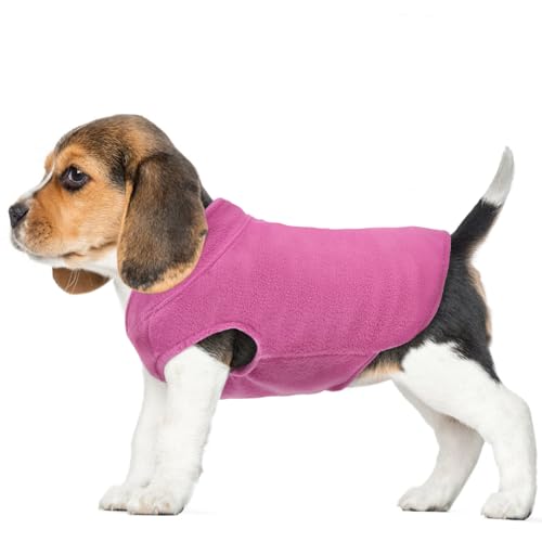 FUAMEY Hunde-Fleece-Weste, warmes Sweatshirt, Welpen, dehnbarer Pullover, Hunde-Rollkragenmantel, Hunde-Winterjacke mit Leinenloch, Hunde-Dackel-Pullover, Yorkie-Kleidung für kleine, Rosa, Größe XS von FUAMEY