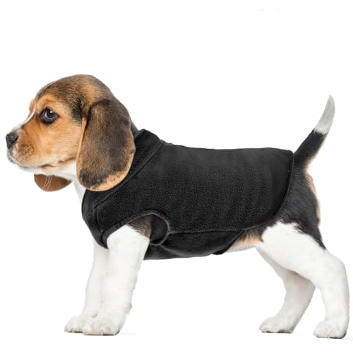 FUAMEY Hunde-Fleece-Weste, warmes Sweatshirt, Welpen, dehnbarer Pullover, Hunde-Rollkragenmantel, Hunde-Winterjacke mit Leinenloch, Hunde-Dackel-Pullover, Yorkie-Kleidung für kleine, schwarz, XXS von FUAMEY