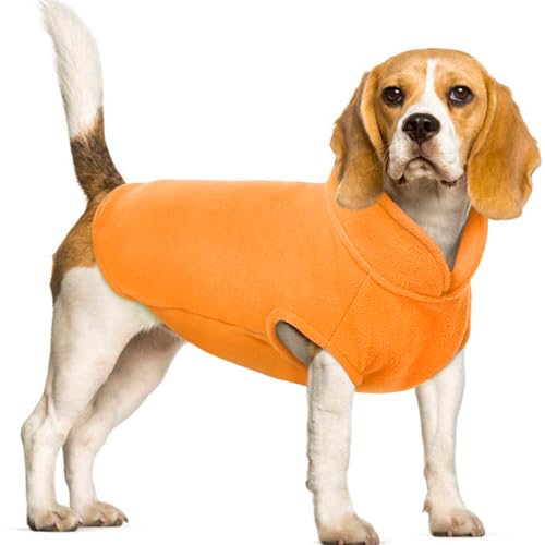 FUAMEY Hunde-Fleece-Weste, warmes Sweatshirt, Welpen, dehnbarer Pullover, Hunde-Rollkragenmantel, Hunde-Winterjacke mit Loch für die Leine, Dackel, Yorkie-Kleidung für kleine, mittelgroße und große von FUAMEY