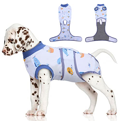 FUAMEY Hunde-Genesungsanzug, Einteiler für Hunde nach Operationen, Haustier-Operationen, OP-Shirt, Hund, weiblicher Spay-Body für männliche Hunde, E-Halsband und Kegel, Blau, XS von FUAMEY