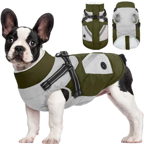 FUAMEY Hundejacke - Wasserdichter Wintermantel mit Reißverschluss - Reflektierende Weste für mittelgroße Hunde - Grün FUAMEY Hundejacke - Wasserdichter Wintermantel mit Reißverschluss - Reflektierende Weste für mittelgroße Hunde - Grün von FUAMEY