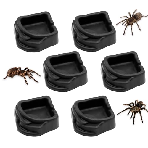 FUATY Mikro-Wassernäpfe mit Spinne, Mini-Harzschale für Vogelspinnen, Spinnen, Tausendfüßler und kleine Reptilien, Futter-/Wasserschale für Gehegezubehör (4,2 cm Durchmesser, 1,5 cm Höhe), 6 Stück von FUATY