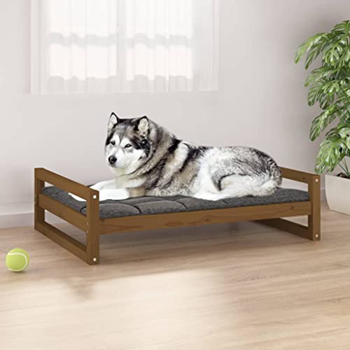FUDUGEHMIOFWFJJ Hunde Sofa,hundecouch,hundeschlafsack,Hundebett Honigbraun 105,5x75,5x28 cm Massivholz KieferAdatto a Tutti i Tipi di cani o Gatti di Piccola e Grande Taglia FUDUGEHMIOFWFJJ Hunde Sofa,hundecouch,hundeschlafsack,Hundebett Honigbraun 105,5x75,5x28 cm Massivholz KieferAdatto a Tutti i Tipi di cani o Gatti di Piccola e Grande Taglia von FUDUGEHMIOFWFJJ