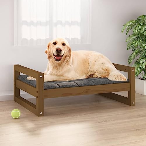 FUDUGEHMIOFWFJJ hundebett mittelgroße Hunde,hundebett abwaschbar,Hundebett Honigbraun 75,5x55,5x28 cm Massivholz KieferAdatto a Tutti i Tipi di cani o Gatti di Piccola e Grande Taglia FUDUGEHMIOFWFJJ hundebett mittelgroße Hunde,hundebett abwaschbar,Hundebett Honigbraun 75,5x55,5x28 cm Massivholz KieferAdatto a Tutti i Tipi di cani o Gatti di Piccola e Grande Taglia von FUDUGEHMIOFWFJJ