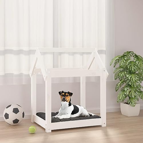 FUDUGEHMIOFWFJJ hundebett orthopädisch große Hunde,hundeteppich,Hundebett Weiß 61x50x70 cm Massivholz KieferAdatto a Tutti i Tipi di cani o Gatti di Piccola e Grande Taglia FUDUGEHMIOFWFJJ hundebett orthopädisch große Hunde,hundeteppich,Hundebett Weiß 61x50x70 cm Massivholz KieferAdatto a Tutti i Tipi di cani o Gatti di Piccola e Grande Taglia von FUDUGEHMIOFWFJJ