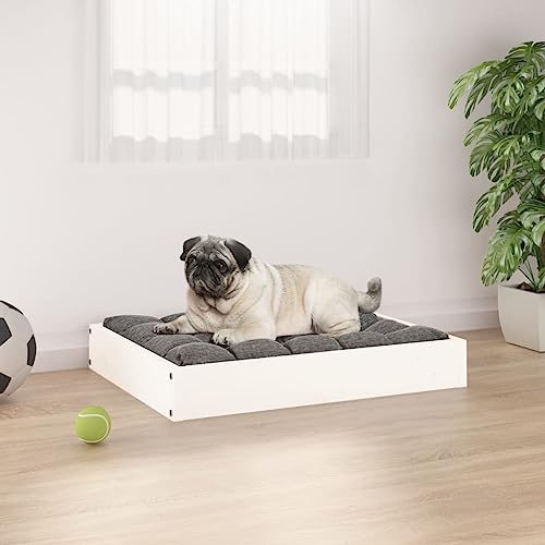 FUDUGEHMIOFWFJJ hundekorb Grosse Hunde,hundesofa für Grosse Hunde,Hundebett Weiß 61,5x49x9 cm Massivholz KieferAdatto a Tutti i Tipi di cani o Gatti di Piccola e Grande Taglia FUDUGEHMIOFWFJJ hundekorb Grosse Hunde,hundesofa für Grosse Hunde,Hundebett Weiß 61,5x49x9 cm Massivholz KieferAdatto a Tutti i Tipi di cani o Gatti di Piccola e Grande Taglia von FUDUGEHMIOFWFJJ