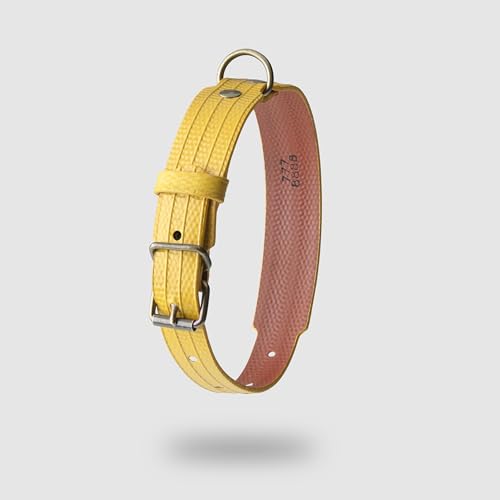 PALÜ - Hundehalsband – Schweizer Design, handgefertigt in Spanien mit Feuerwehrschläuchen aus der Schweiz, Spanien und Frankreich, Gelb und Ziegel (M/L) von FÜÜR