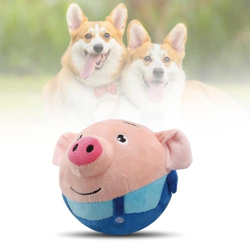 FUFRE Hundespielzeug Ball, Adventskalender Für Hunde, Strapazierfähiger Automatisch Rollender Ball Für Welpen/Kleine/Mittlere Hunde, USB Wiederaufladbar (Blau) von FUFRE