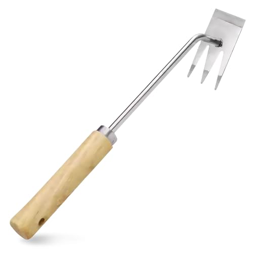 Fugenkratzer Unkraut mit Holzgriff, Löwenzahnstecher aus Edelstahl, Unkrautstecher mit Stiel, Doppelseitiges Scharfes Distelstecher, Gartengeräte Unkrauthacke Zum Entfernen Von Unkraut Und Moos (B) von FUFRE