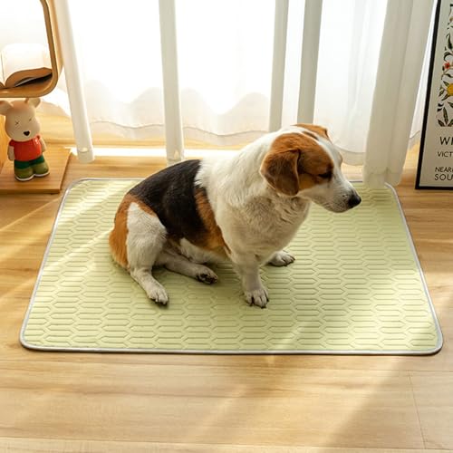 Kühlmatte für Hunde Selbstkühlende, 70 x 100cm Kühlmatte Hund Groß, Rutschfeste Kühldecke Katzen, Sommer Ungiftig Kühlkissen für Haustiere, Waschbar Hundebett für Drinnen, Draußen und Auto (Blau) Kühlmatte für Hunde Selbstkühlende, 70 x 100cm Kühlmatte Hund Groß, Rutschfeste Kühldecke Katzen, Sommer Ungiftig Kühlkissen für Haustiere, Waschbar Hundebett für Drinnen, Draußen und Auto (Blau) von FUFRE