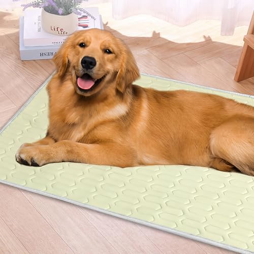 Kühlmatte für Hunde Selbstkühlende, 70 x 100cm Kühlmatte Hund Groß, Rutschfeste Kühldecke Katzen, Sommer Ungiftig Kühlkissen für Haustiere, Waschbar Hundebett für Drinnen, Draußen und Auto (Grün) Kühlmatte für Hunde Selbstkühlende, 70 x 100cm Kühlmatte Hund Groß, Rutschfeste Kühldecke Katzen, Sommer Ungiftig Kühlkissen für Haustiere, Waschbar Hundebett für Drinnen, Draußen und Auto (Grün) von FUFRE