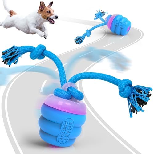 FUGODIWI Interaktives Hundespielzeug, Elektrisch Hundespielzeug Ball, Magic Ball Hund, für Mittelgroße und Kleine Hunde, Bewegungsaktiviert, USB-Aufladung (Blau) von FUGODIWI