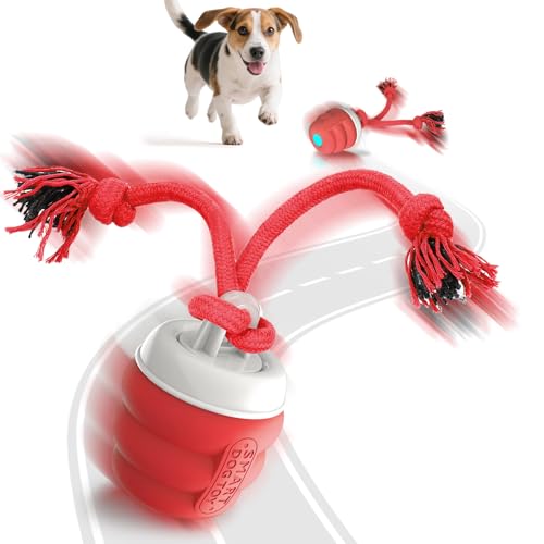 FUGODIWI Interaktives Hundespielzeug, Elektrisch Hundespielzeug Ball, Magic Ball Hund für Welpen und kleine Hunde, Bewegungsaktiviert, USB-Aufladung (Himmelblau) 2025 von FUGODIWI