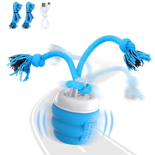FUGODIWI Interaktives Hundespielzeug, Elektrisch Hundespielzeug Ball, Magic Ball Hund für Welpen und kleine Hunde, Bewegungsaktiviert, USB-Aufladung (Himmelblau) 25 von FUGODIWI