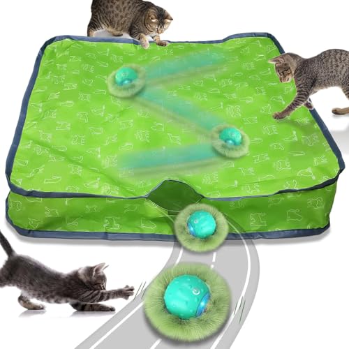 FUGODIWI Interaktives Katzenspielzeug für Wohnungskatzen FUGODIWI Interaktives Katzenspielzeug für Wohnungskatzen von FUGODIWI