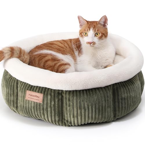 FUKUMARU Katzenbett waschbar Katzen Bettchen, 48x48x20cm Katzenkorb mit erhöhtem Rand, weiches Bett aus geripptem Plüsch, grün von FUKUMARU