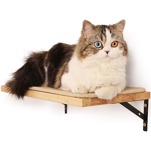 FUKUMARU Kletterwand Katzen, Katzenbett Wand aus 2cm dickem massivem Gummiholz mit widerstandsfähiger Sisal-Kratzmatte, 40x25cm Wand-Katzenliege/Katzentreppe FUKUMARU Kletterwand Katzen, Katzenbett Wand aus 2cm dickem massivem Gummiholz mit widerstandsfähiger Sisal-Kratzmatte, 40x25cm Wand-Katzenliege/Katzentreppe von FUKUMARU
