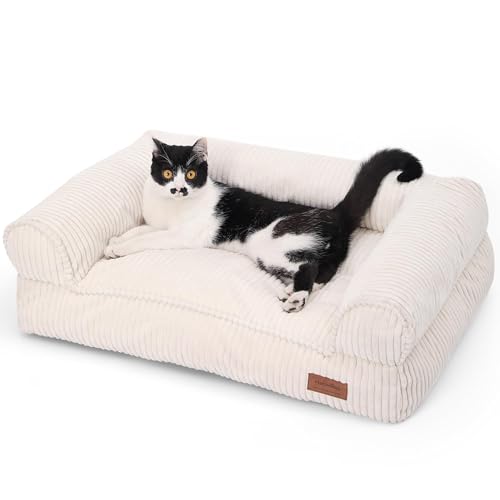 FUKUMARU Katzensofa Bett, Corduroy Gemütliches Katzenbett für drinnen mit abnehmbarem waschbarem Bezug, Stützendes Anti-Rutsch Hundebett Sofa für kleine Hunde, 72 x 52 x 22 cm, Mittel, Creme FUKUMARU Katzensofa Bett, Corduroy Gemütliches Katzenbett für drinnen mit abnehmbarem waschbarem Bezug, Stützendes Anti-Rutsch Hundebett Sofa für kleine Hunde, 72 x 52 x 22 cm, Mittel, Creme von FUKUMARU