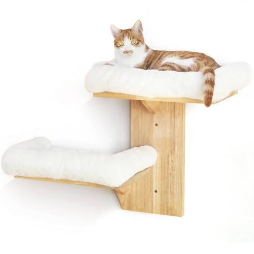 FUKUMARU Kletterwand Katze von FUKUMARU