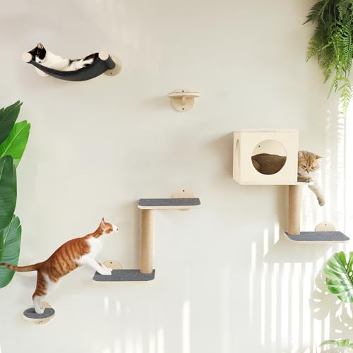 FUKUMARU Kletterwand für Katzen, 5-teiliges Wandregal-Set aus Birken-Multi-Schichtplatte, stabiles Katzenwandmöbel mit Hängematte, Katzenhaus, Katzentreppe und Kratzbaum, grau FUKUMARU Kletterwand für Katzen, 5-teiliges Wandregal-Set aus Birken-Multi-Schichtplatte, stabiles Katzenwandmöbel mit Hängematte, Katzenhaus, Katzentreppe und Kratzbaum, grau von FUKUMARU