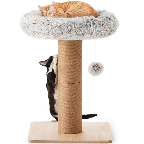 FUKUMARU Kratzbaum - 71 cm Hoher Kratzturm Mit Katzenliege für Erwachsene Katzen, 14 cm Breiter Kleiner Katzenbaum Mit Bett, Katzenmöbel für Kätzchen und Große Katzen von FUKUMARU