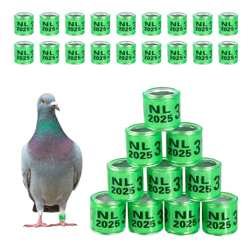 FULAIERGD 100 Stück Multicolor Aluminium Taubenbeinringe Taubenbeinringe Identifizieren Bänder Kunststoff mit 2025 NL Training Identifizieren Sie Vögel Fußring FULAIERGD 100 Stück Multicolor Aluminium Taubenbeinringe Taubenbeinringe Identifizieren Bänder Kunststoff mit 2025 NL Training Identifizieren Sie Vögel Fußring von FULAIERGD