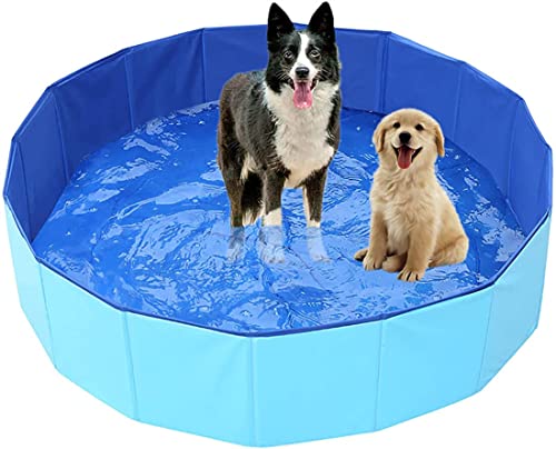 FULUOYIN Hundepool für Haustier Swimmingpool 80/100/120/140/160 x 30 cm, Hund Planschbecken Schwimmbecken(Bonus Haustier Badebürste) von FULUOYIN