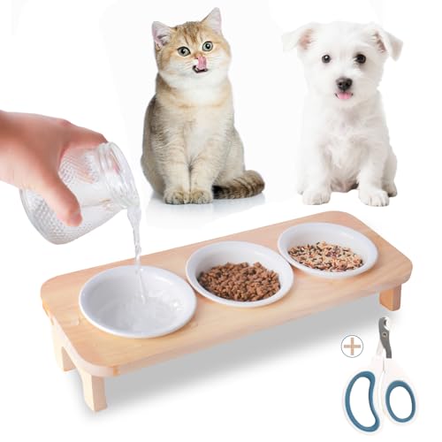 FUNACAY Erhöhtes Katzenfutter- und Wassernapf-Set mit Ständer, 15° geneigt, erhöhter Futternapf für Kätzchen/Welpen, mit 3 zeremischen Schalen FUNACAY Erhöhtes Katzenfutter- und Wassernapf-Set mit Ständer, 15° geneigt, erhöhter Futternapf für Kätzchen/Welpen, mit 3 zeremischen Schalen von FUNACAY