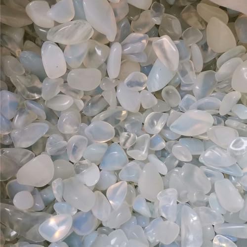 FUNAT 200g Kieselsteine für Zimmerpflanzen, Kiesel für Jade Dekorative Felsen für Succulent, Bambus, Vase, Glatt und Poliert FUNAT 200g Kieselsteine für Zimmerpflanzen, Kiesel für Jade Dekorative Felsen für Succulent, Bambus, Vase, Glatt und Poliert von FUNAT