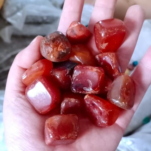 FUNAT Achat Regen Blume Stein für Wasserpflanzen, Gemischte Achat Stein Tumbled Steine, Sukkulente, Vase Füller, Landschaft Boden Dekoration Stein FUNAT Achat Regen Blume Stein für Wasserpflanzen, Gemischte Achat Stein Tumbled Steine, Sukkulente, Vase Füller, Landschaft Boden Dekoration Stein von FUNAT
