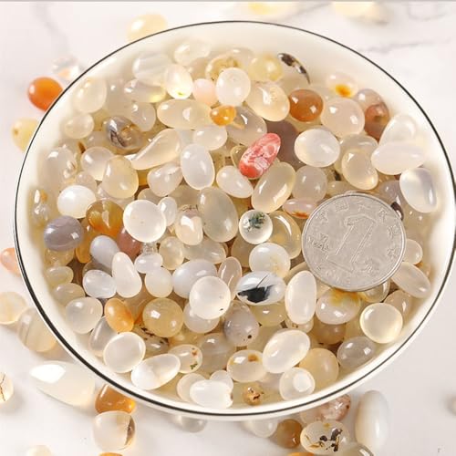 FUNAT Aquarellfarbener Achatstein 500g, Polierte Getrommelte Kieselsteine Kristalle Hydroponik Felsen für Pflanzen, Fischtank, DIY handgemacht, Home Decor, Vase Füller FUNAT Aquarellfarbener Achatstein 500g, Polierte Getrommelte Kieselsteine Kristalle Hydroponik Felsen für Pflanzen, Fischtank, DIY handgemacht, Home Decor, Vase Füller von FUNAT