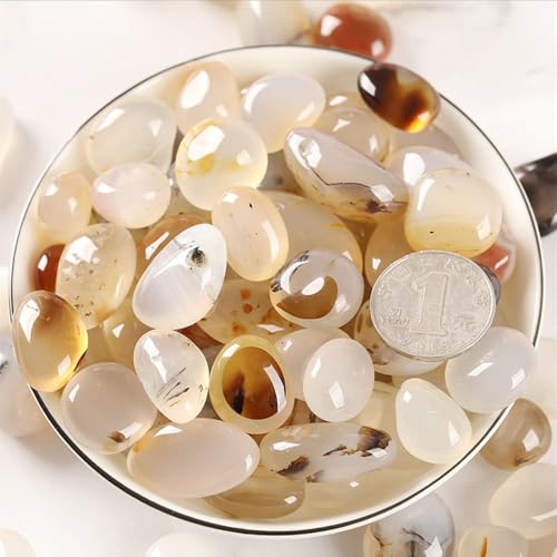 FUNAT Aquarellfarbener Achatstein 500g, Polierte Getrommelte Kieselsteine Kristalle Hydroponik Felsen für Pflanzen, Fischtank, DIY handgemacht, Home Decor, Vase Füller FUNAT Aquarellfarbener Achatstein 500g, Polierte Getrommelte Kieselsteine Kristalle Hydroponik Felsen für Pflanzen, Fischtank, DIY handgemacht, Home Decor, Vase Füller von FUNAT